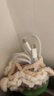 Apple/苹果 60W type-c充电线-1米 usb-c手机数据线 原装旗舰店苹果iPhone 17 Pro Max iPad快充线 实拍图