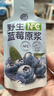 养益君100%NFC野生蓝莓原浆蓝莓汁果汁饮料纯果蔬汁果饮300ml 实拍图