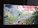 鑫谷（segotep）PM850W白金全模组电源 白色（白金牌/ATX3.1支持5070Ti/5060Ti显卡/14cm短壳机身）台式机箱电源 实拍图