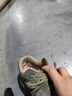 十二苓芝劳保鞋男透气防砸防刺穿耐磨轻便透气工作安全防护功能鞋521 41 实拍图
