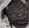 金唐霞浦紫菜100g *3袋 海产干货 虾皮蛋花煲汤凉拌食材 源头直发包邮 实拍图