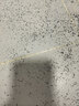 美菱家用吸尘器工业大功率超强吸力商用装修美缝专用酒店办公室地毯开荒桶式强力吸尘机 实拍图