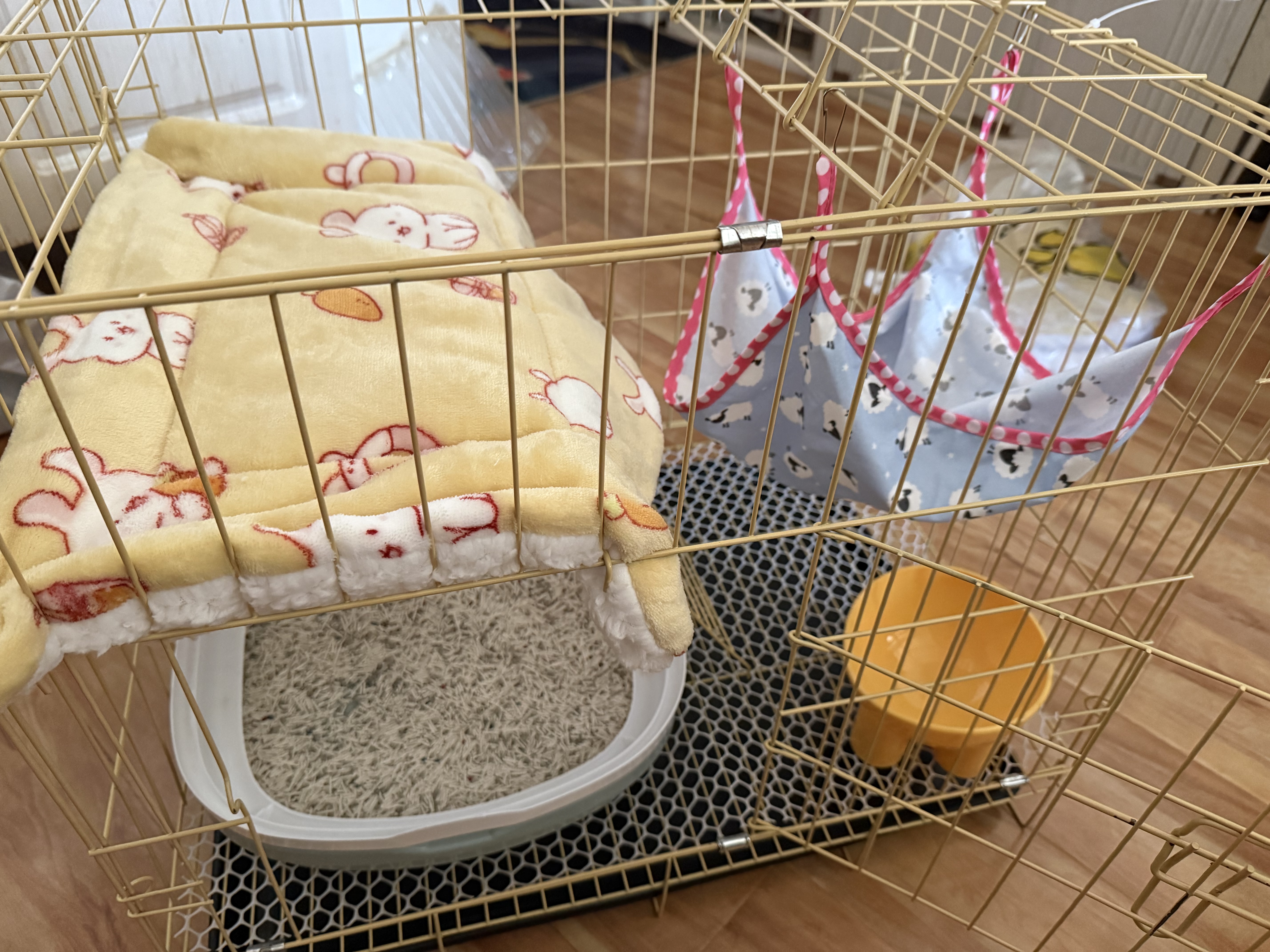 疯狂的主人猫碗猫粮碗狗碗食盆猫咪饭碗大口径水碗斜口碗防打翻宠物用品 实拍图