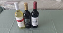CANIS FAMILIARIS布多格狮爵干红葡萄酒750ml*6支礼盒装 婚宴聚会法国原瓶进口红酒 实拍图
