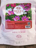 寿禾 格桑花种子精品波斯菊矮杆四季花卉籽 矮韵格桑花种子(矮秆)半斤 实拍图