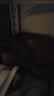 五粮液股份 酿神梅兰竹菊礼盒 纯粮白酒 58度500mL*4瓶 礼鉴收藏 实拍图