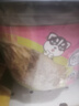 自嗨锅自热米饭 6口味6桶组合装煲仔饭大分量1551g 方便速食露营野餐 实拍图