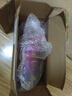 完达山菁稚非凡含A2-酪蛋白较大婴儿配方奶粉2段750g(6-12月适用)6罐装 实拍图