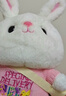 熊猫熊兔子玩偶毛绒玩具小女孩生日礼物女生儿童大布娃娃陪睡觉抱枕公仔 实拍图