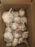 河南大蒜新干蒜紫皮精品小龙虾烧烤食材大蒜 净重3斤新干蒜 实拍图
