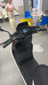 九号（Ninebot）【直播间抽3000免单】远航家M85C电动摩托车超长续航智能两轮摩托车【门店自提】 颜色到门店选 实拍图