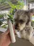 皇佳宠宠物电动磨甲器指甲剪狗狗猫咪小狗专用打磨猫咪比熊修剪神器 实拍图