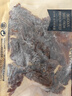 科尔沁古法卤牛肉干120g原味 手撕肉片肉脯 休闲解馋特产零食 实拍图