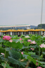 适马（SIGMA）16-300mm f3.5-6.7 DC OS ｜Contemporary 半画幅 远摄变焦镜头 旅游风光人像（RF卡口） 实拍图