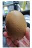 佳沛（zespri）新西兰 阳光金奇异果30-33粒原箱单果103-124g 猕猴桃水果礼盒 实拍图
