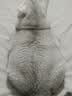 艾尔猫粮 室内解馋猫系列 全价全期成猫幼猫通用型宠物粮 通用500G*5 5斤 实拍图