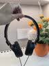 索尼（SONY） MDR-ZX110AP 头戴式有线耳机3.5mm接口 时尚穿搭 带麦可通话英语学习考试办公笔记本电脑手机适用 黑色 实拍图