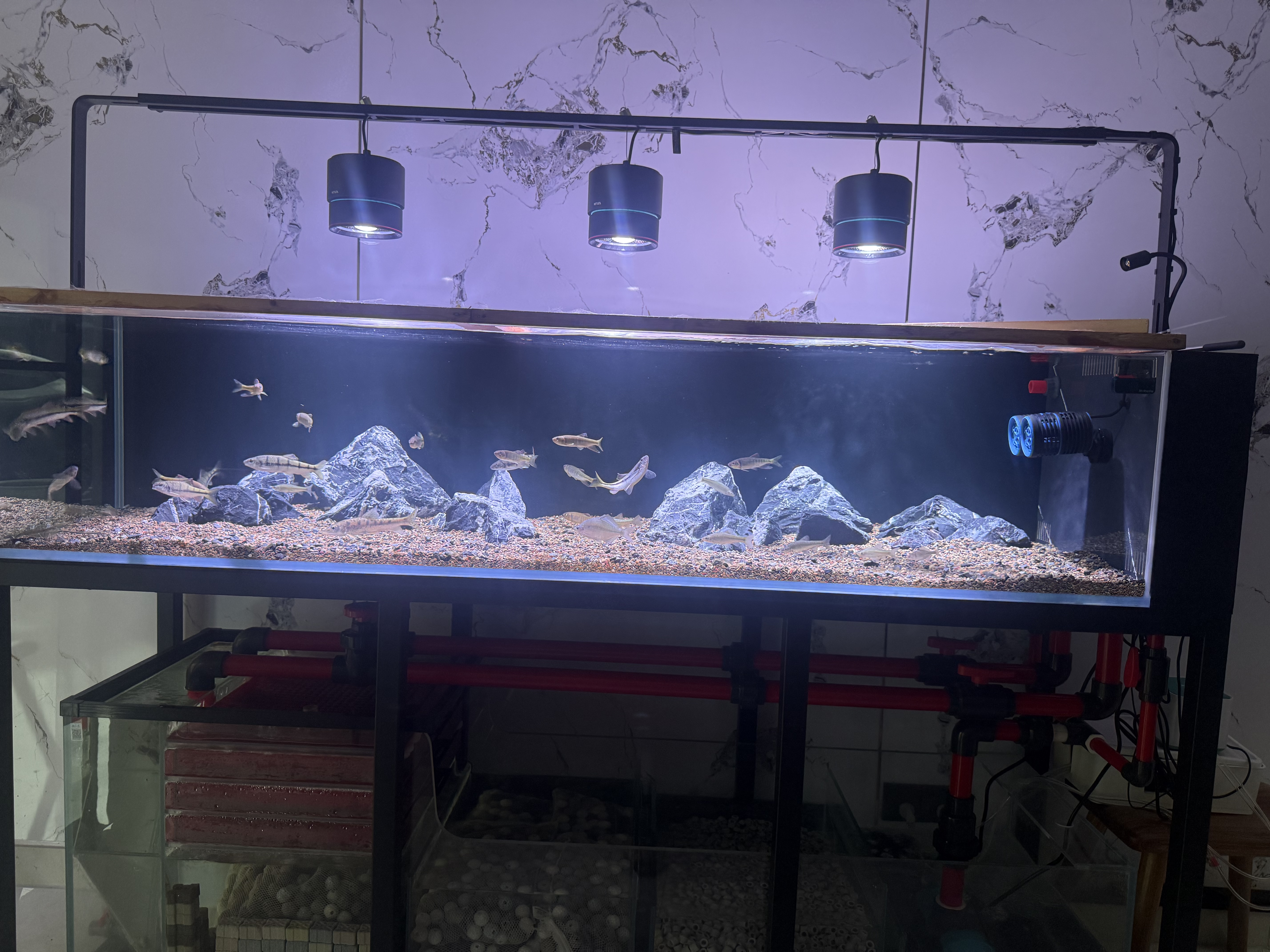 尼特利（NETLEA）筒灯水草灯鱼缸灯全光谱爆藻灯植物养殖灯 【原生缸WIFI版】90W新一代筒灯 实拍图