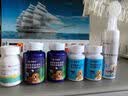 派迪诺宠物狗狗营养补钙套装猫犬用鲨鱼软骨素钙片300片+维生素片200片 实拍图