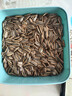 老街口五香味瓜子300g/袋大颗粒葵花籽炒货休闲零食香瓜子每日坚果 实拍图