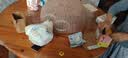 吾谷为伴石磨糯米粉 5斤 糯米汤圆年糕元宵热奶宝雪媚娘冰皮月饼糍粑 实拍图