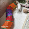 欢宠网猫玩具猫咪猫隧道彩虹钻洞袋子迷宫通道逗猫自嗨神器解闷猫猫小猫 实拍图
