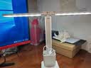 小米家（MI）同款台灯充插两用LED触摸学习卧寝室阅读台灯床头灯 双头充电款【三色温+笔筒】+线 实拍图