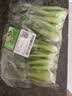 【24小时鲜】油菜苗250g(长度≤17cm) 实拍图