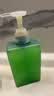 蓝月亮洗手液补充装泡沫丰富抑菌99.9%袋装500g*12袋 儿童护手家用替换 实拍图