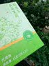 南同神州同仁堂茉莉花茶花苞茶孕妇2026新茶特级花干中药材干茉莉花花茶包 实拍图