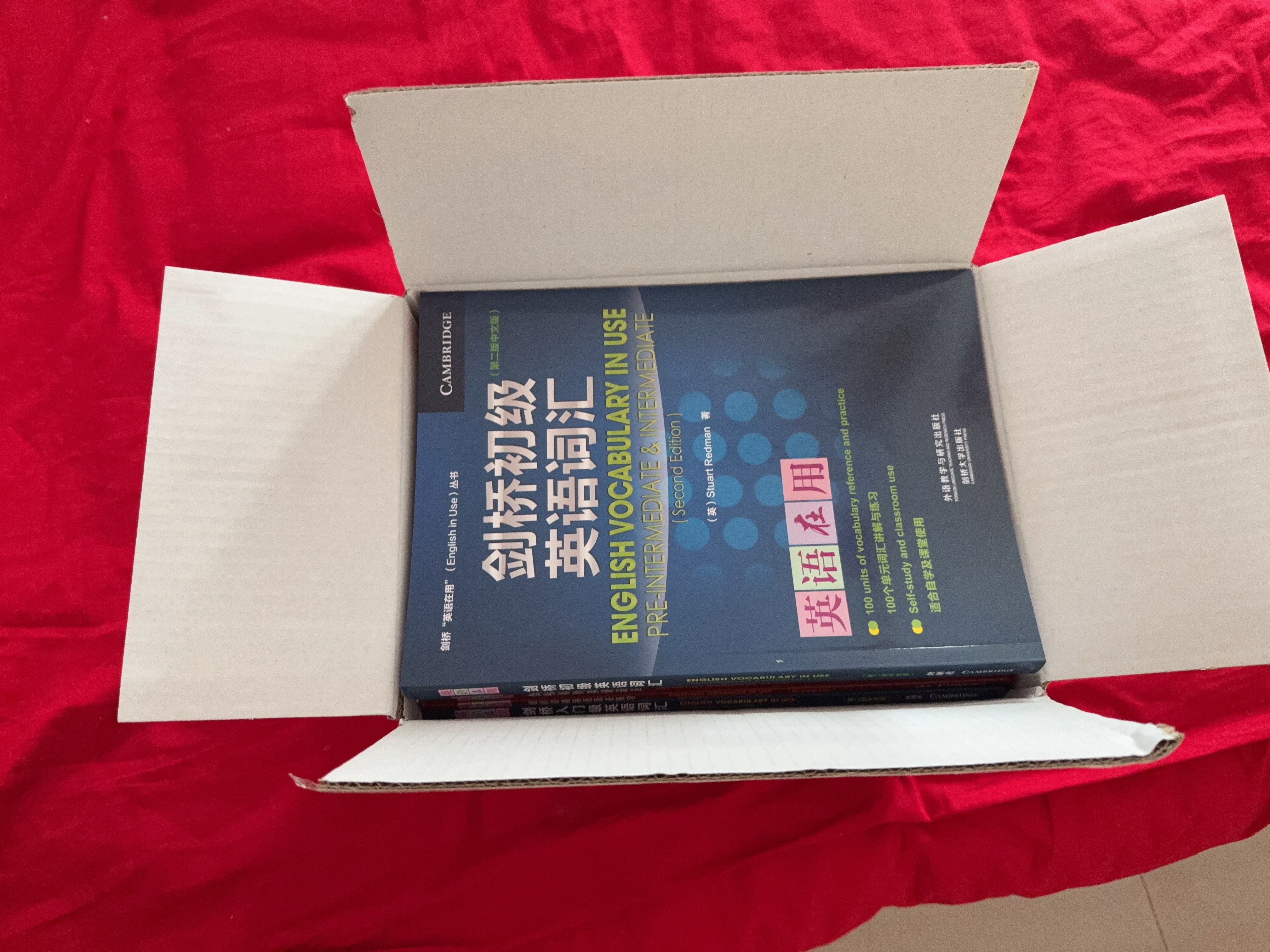 剑桥英语在用丛书全套装 语法+词汇+习语+惯用搭配+短语动词（剑桥“英语在用”English in Use丛书 中文版 套装共19册） 实拍图