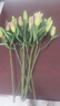 悦多彩AB级优质香水百合 家庭办公室各色生活鲜花 昆明基地 现采直发 粉色百合花30朵（3头10枝） 实拍图