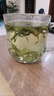 植宴龙井叶新茶雨前绿茶浓香型散装口粮春茶自己喝 龙井250g*1罐 精选 实拍图