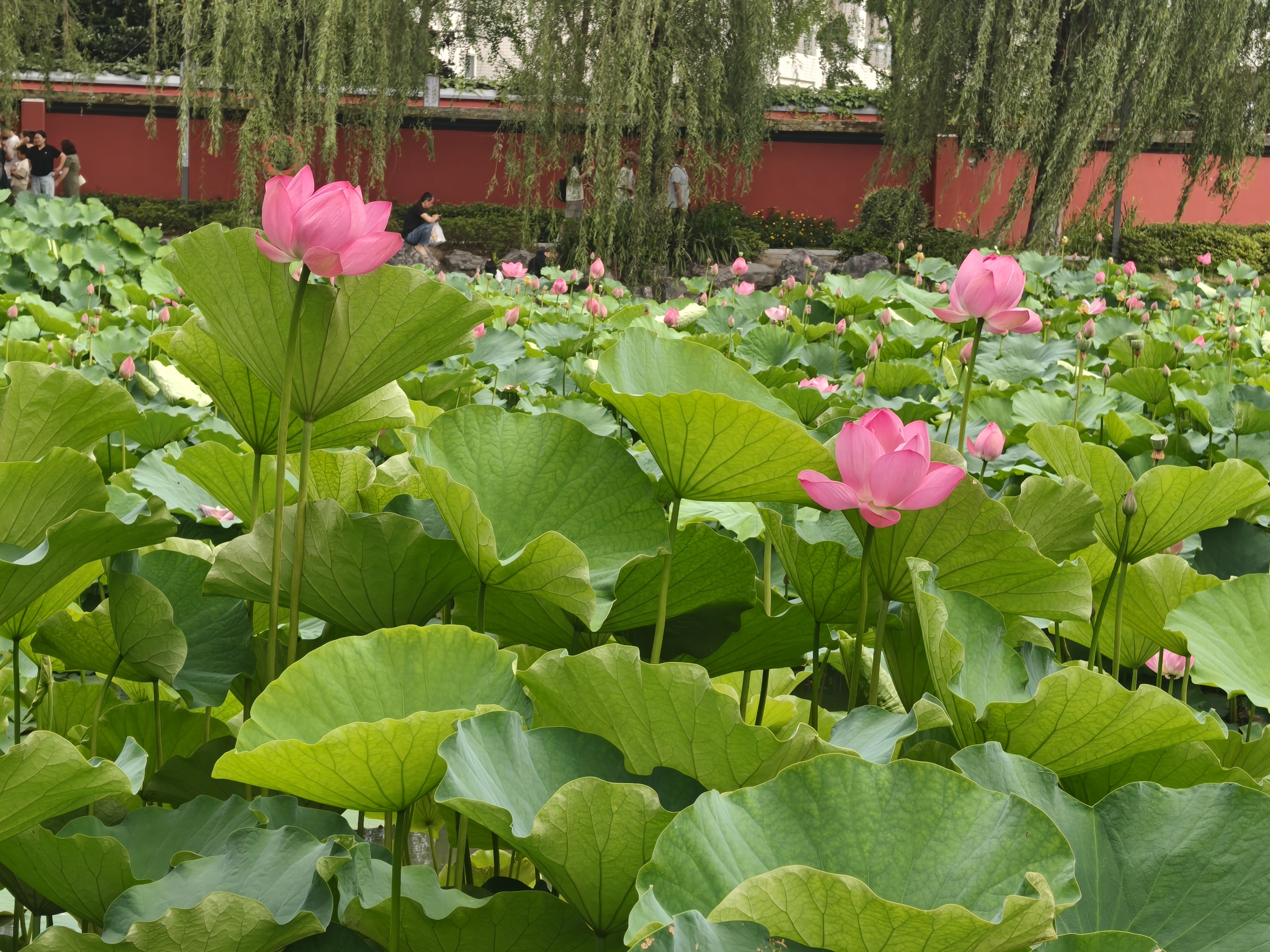 得力（deli）学生补习袋 大容量拎书袋多功能手提袋购物袋 儿童美术袋补课书包 深蓝色毕业礼物礼物 实拍图