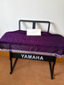 雅马哈（YAMAHA）电子琴PSR-F52/E283/E383初学入门61键成人儿童初学练习考级演奏 PSR F52官方标配 实拍图