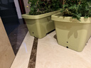 漫生活50L玫瑰月季营养土赠肥料 进口泥炭土花土绿植花卉有机种植土壤 实拍图