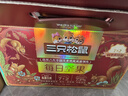 三只松鼠每日坚果750g30袋独立包装腰果开心果干休闲零食礼包团购送礼 实拍图