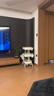 宜家（IKEA）拉斯克家居小推车置物架移动茶水桌书包架客厅厨房收纳架 大号35×45×77cm带盖｜白色 实拍图