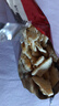 太平专享 苏打饼干 多口味系列梳打薄脆饼干 低糖易消化 【新口味】黑胡椒和牛味100g 实拍图