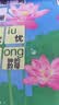 雷士（NVC）厨房灯铝扣板灯集成吊顶24瓦300x600卫生间LED吸顶灯平板面板灯 实拍图