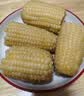 天勤粒粒净有机小香糯玉米（3.52斤）8穗*220g鲜食糯玉米棒玉米真空包装早餐 实拍图