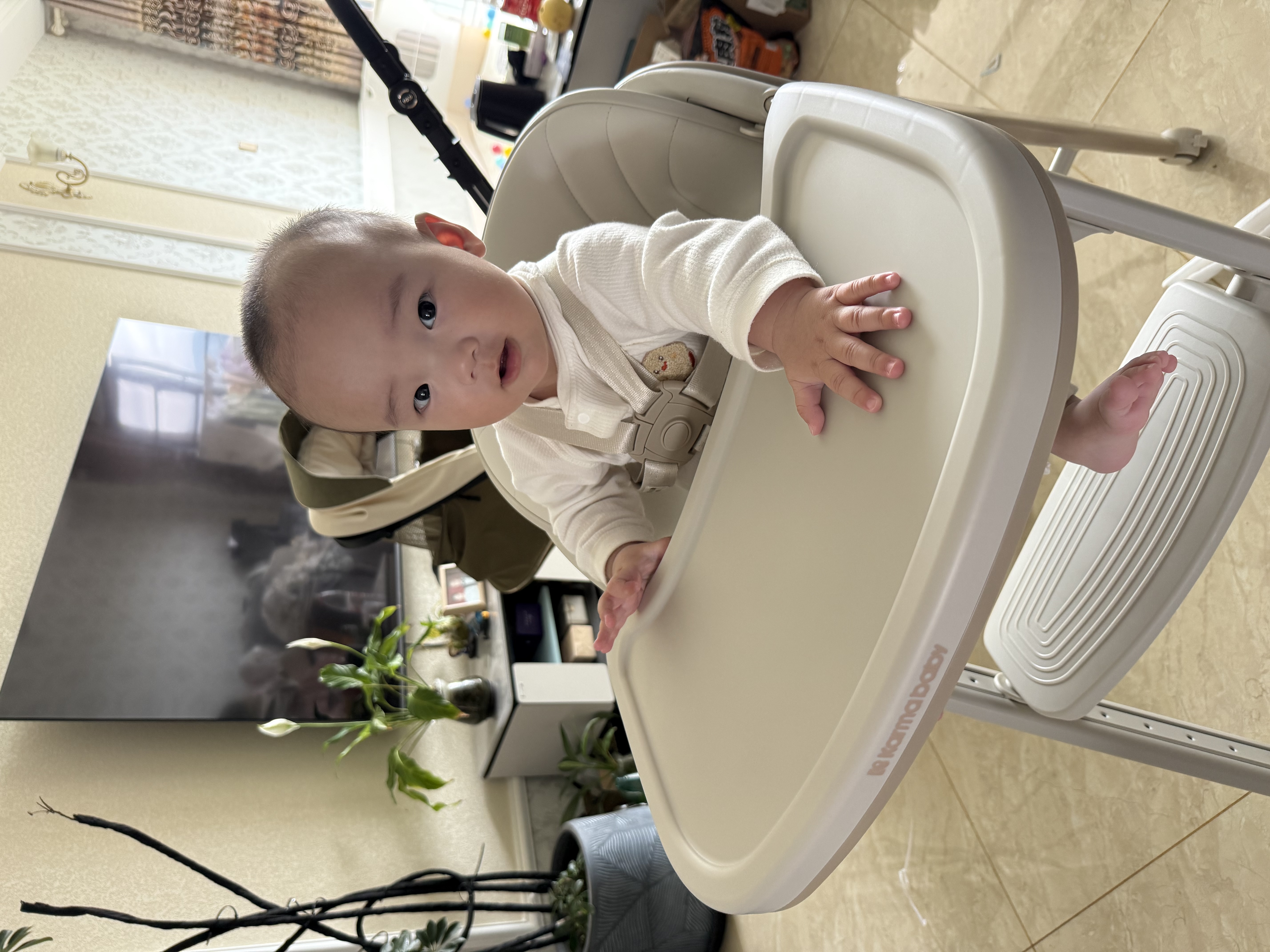 karmababy卡曼守护宝宝餐椅成长椅儿童婴儿餐桌椅家用多功能折叠吃饭学坐椅 【奢享版】奶咖5件套（全新升级万向轮+安全带） 实拍图