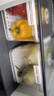 佳帮手冰箱收纳盒保鲜盒食品级密封大容量水果蔬菜鸡蛋泡菜盒7.5L2只装 实拍图