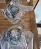 霍尼韦尔洗手盆陶瓷下水器洗手池落水芯洗脸面盆防臭神器弹跳芯漏水塞 实拍图
