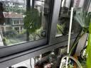 三青水性金属漆 防锈漆铁门窗暖气片家具翻新改色油漆宝钢灰1KG 实拍图