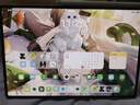 太空石适用华为matepadpro12.2保护套2024/25款平板保护壳12.2英寸带笔槽支架透明磁吸皮套超轻薄防摔 【飞天青】Y型磁吸-横竖支撑-送钢化膜 华为MatePadpro【12.2英寸】 实拍图