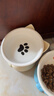 憨憨乐园猫碗陶瓷猫粮双碗斜口狗碗狗盆狗粮宠物幼猫咪吃饭食盆喝水喂食 实拍图