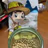 野三坡 白豌豆 生豌豆干豌豆粒可发豆芽煮粥重庆小面配料五谷杂粮 500g*5袋 实拍图