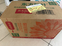 农夫山泉东方树叶菊花普洱500ml*15瓶无糖茶饮料0糖0脂0卡饮品整箱装 实拍图