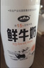 青海湖 鲜牛奶1L  含15%牦牛奶  鲜奶 低温奶 巴氏杀菌 无添加剂 实拍图